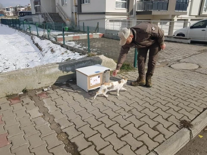 Sokak kedileri üşümesin diye kedi evleri Bolu’nun dört bir yanına konuldu
