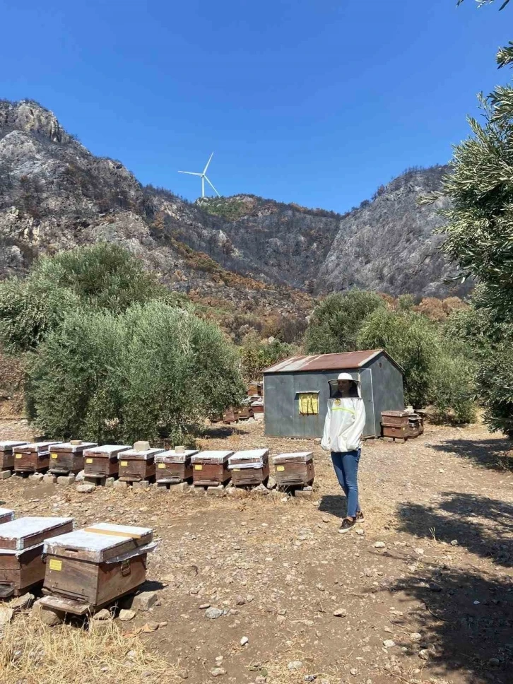 Söke’de arı konaklatma yerleri denetimleri sürüyor
