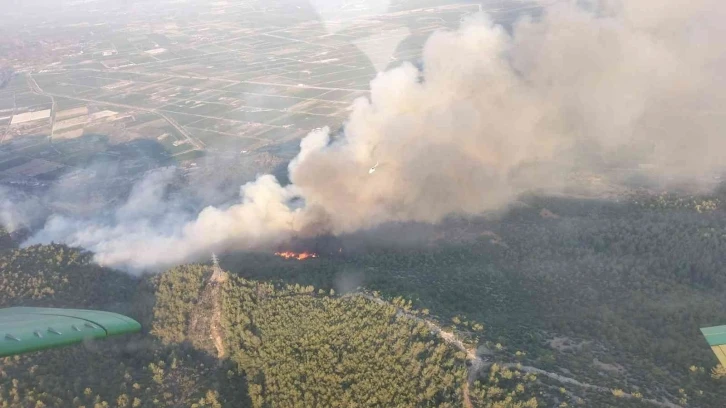 Söke’deki yangına 7 helikopter ve 4 uçakla müdahale devam ediyor
