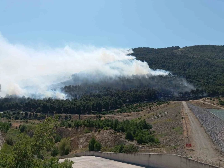 Soma’daki orman yangını kontrol altına alındı

