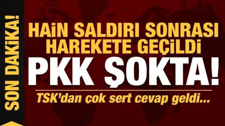 Son dakika haberi: Hain saldırı sonrası TSK harekete geçti: Top atışları başladı!