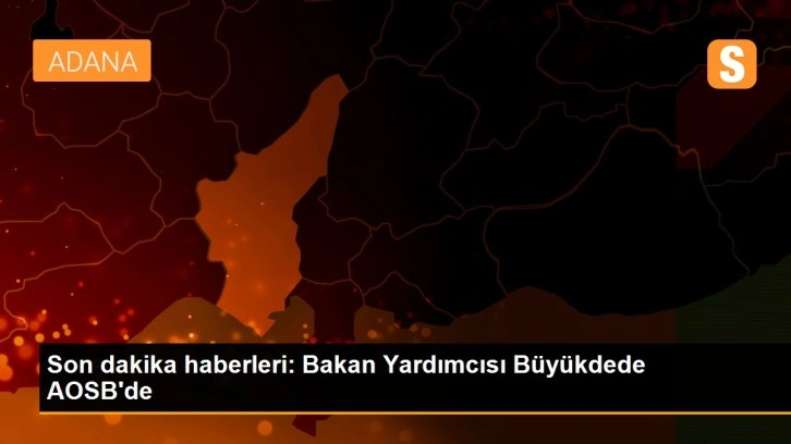 Son dakika haberleri: Bakan Yardımcısı Büyükdede AOSB'de