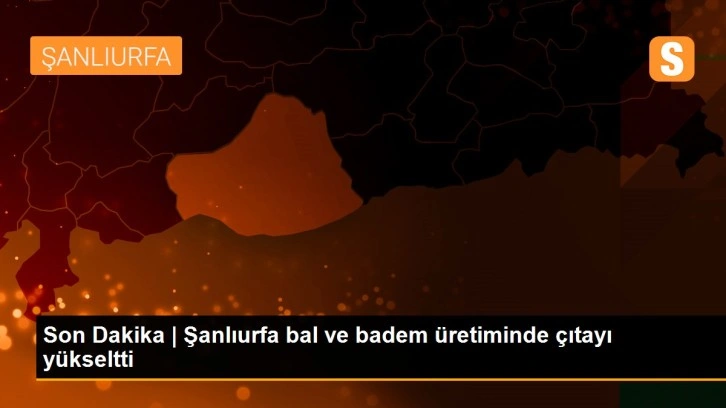 Son Dakika | Şanlıurfa bal ve badem üretiminde çıtayı yükseltti