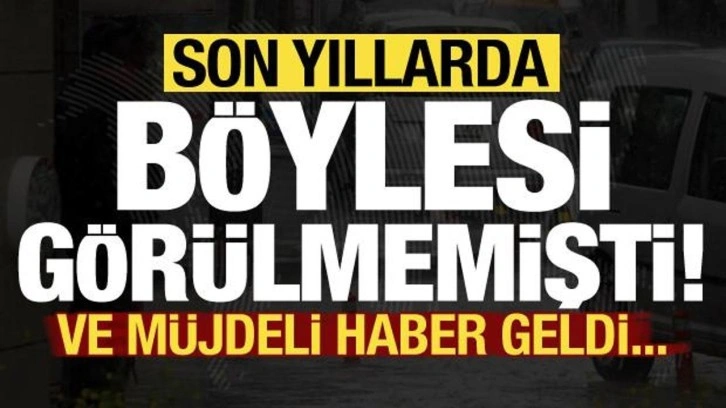 Son dakika: Son yıllarda böylesi görülmemişti, müjdeli haber geldi!