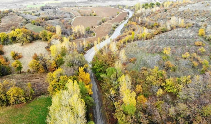 Sonbahardan kışa geçişte renk cümbüşü oluşturan ağaçlar farklı güzelliğe büründü
