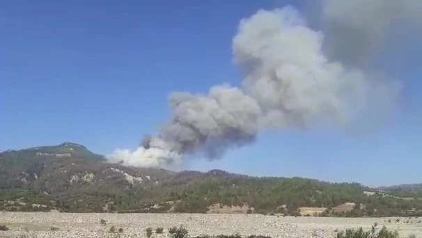 Söndürülen yangın zirveden patlak verdi
