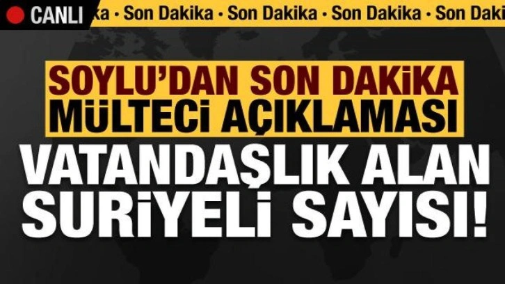 Soylu'dan mültecilerle ilgili son dakika açıklamaları: Vatandaşlık alan Suriyeli sayısı?