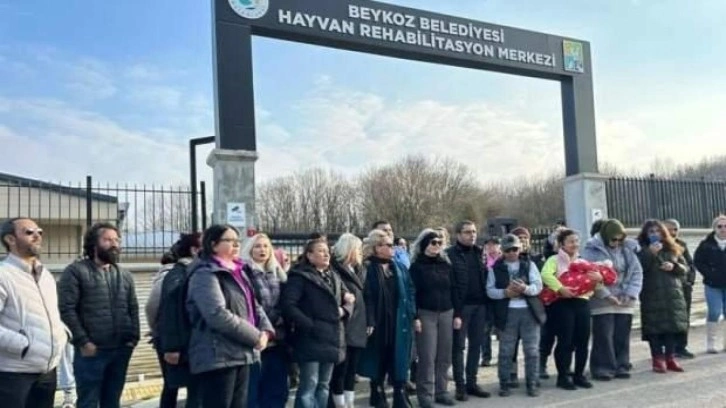 Sözde hayvansever gruplar kaos peşinde! "Nerede bir toplama varsa çatışacağız"