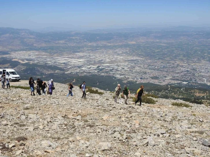 Spil Dağı Milli Parkı’nın endemik tür bitki ve çiçekleri fotoğraflandı
