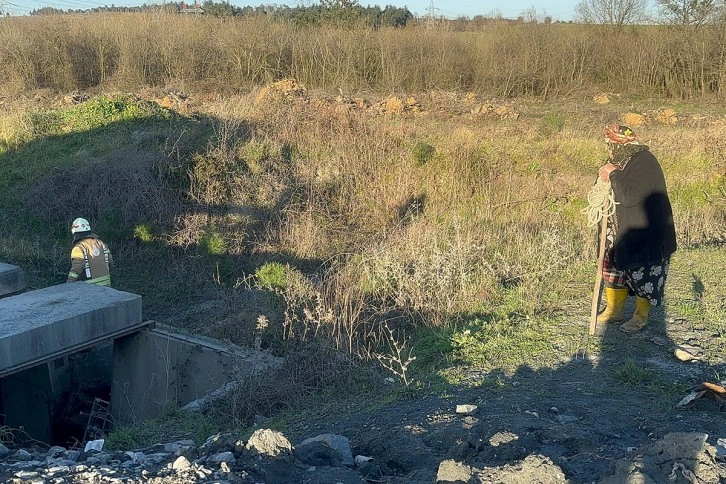 Sulama kanalına düşen ineğinin başında saatlerce bekledi