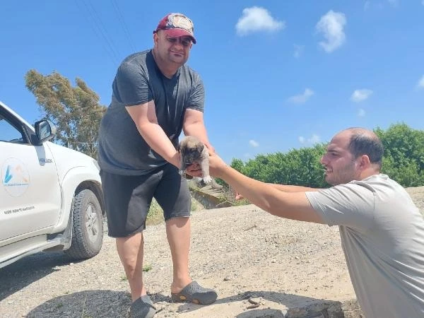 Sulama kanalının altına giren 8 yavru köpek kurtarıldı