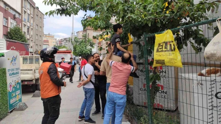 Sultangazi’de kiraz ağacından inerken kaydı: Çocuğun eline demir çit saplandı
