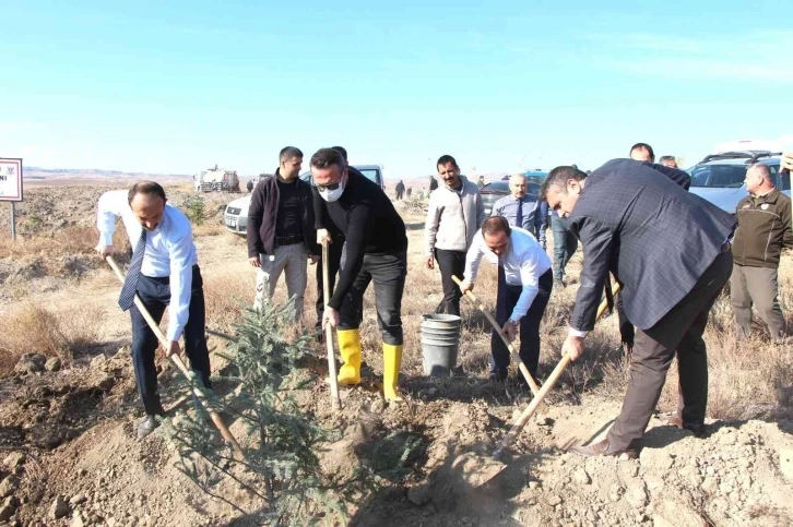 Sungurlu Adalet Ormanı’na 600 fidan dikildi
