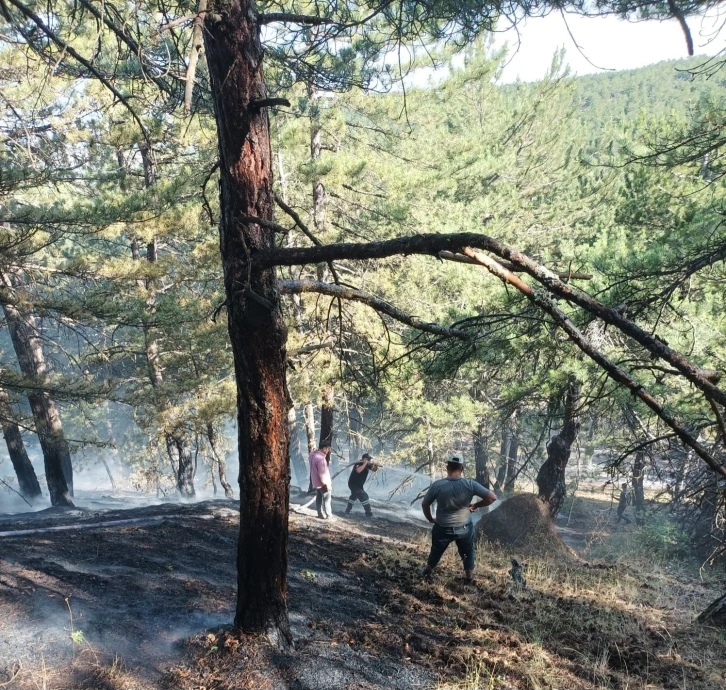 Sungurlu’da orman yangını
