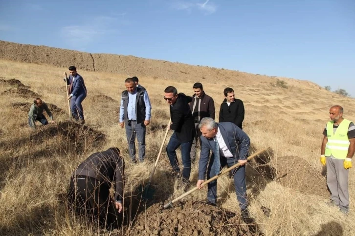 Sungurlu OSB’de ağaçlandırma etkinliği düzenlendi
