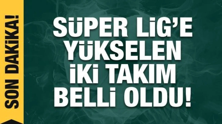 Süper Lig'e yükselen iki takım belli oldu!