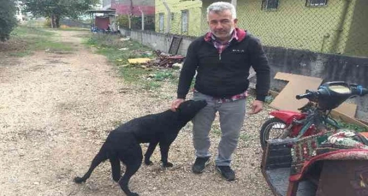 Sürücü köpeğin üzerinden geçti: O anlar kamerada