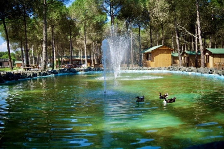 Tabiat harikası Çarşamba Orman Park hayran bırakıyor
