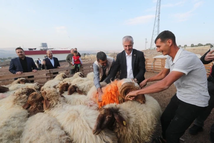 Tahmazoğlu “Hayvancılığa desteğimiz sürecek”
