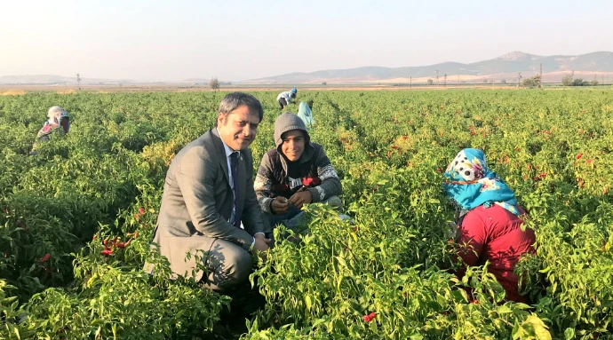 Tarım Kredi kooperatifleri Nurdağı ve İslahiye ilçelerinde biber alımlarına başladı