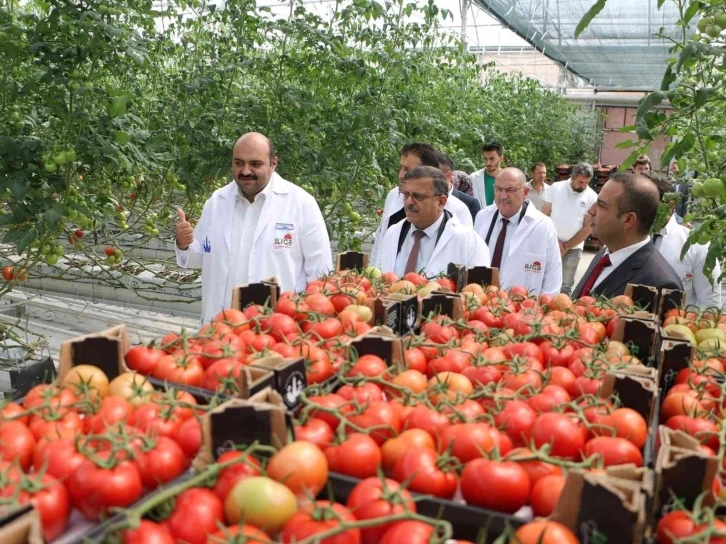 Tarım Kredi kurmayları termal seralara hayran kaldı
