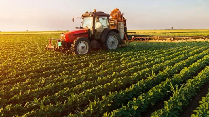 Tarım ürünlerinin üretici fiyatları Temmuz ayında yüzde 8 artış gösterdi!