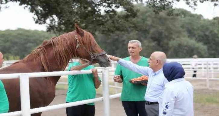 Tarım ve Orman Bakanı Vahit Kirişci: “Cumhurbaşkanımızın duruşu ile tahıl krizi sorunu çözüldü”