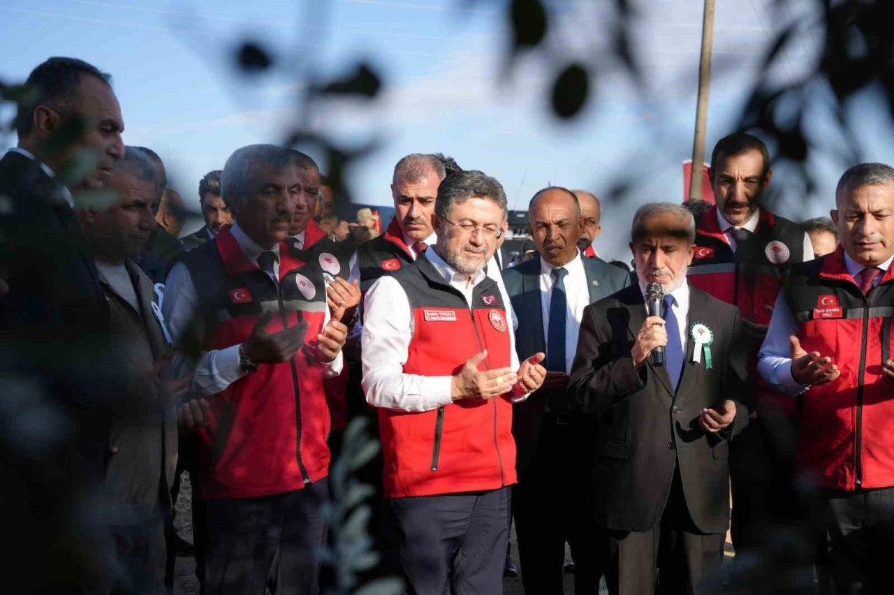 Tarım ve Orman Bakanı Yumaklı Kilis’te zeytin hasadına katıldı