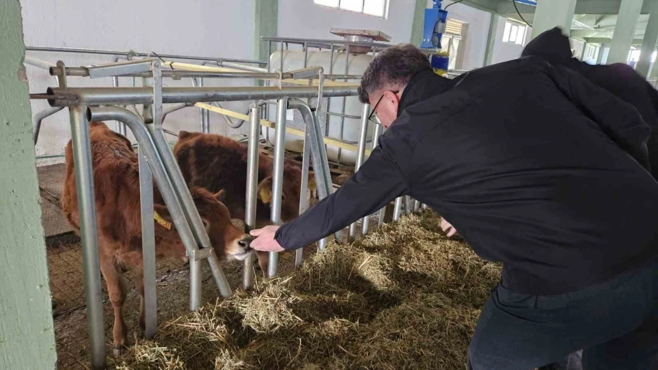 Tarım ve Orman İl Müdürlüğü’nden Tepebaşı’ndaki işletmeye Ari İşletme sertifikası
