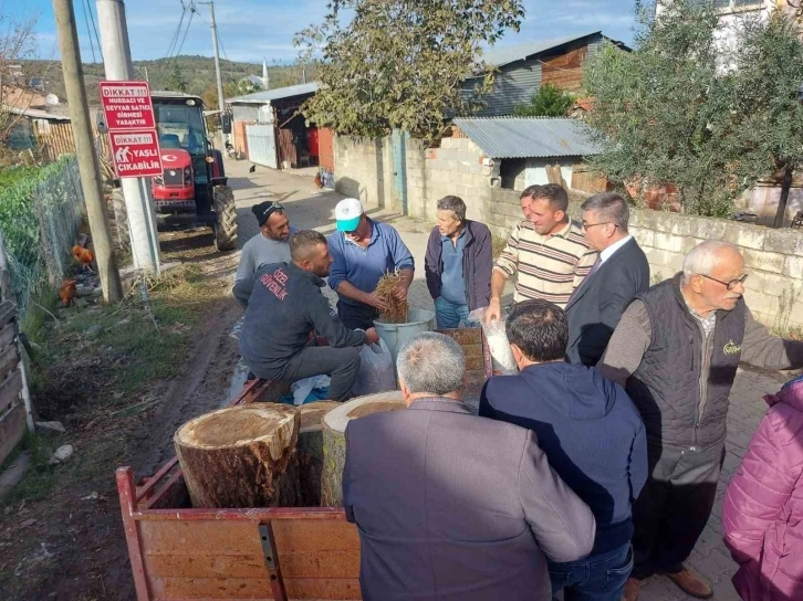 “Tarımda dünya markası Mustafakemalpaşa” sloganı gerçek oluyor
