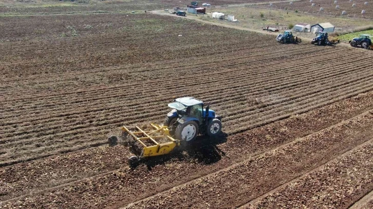 Tarımda rekor üstüne rekor
