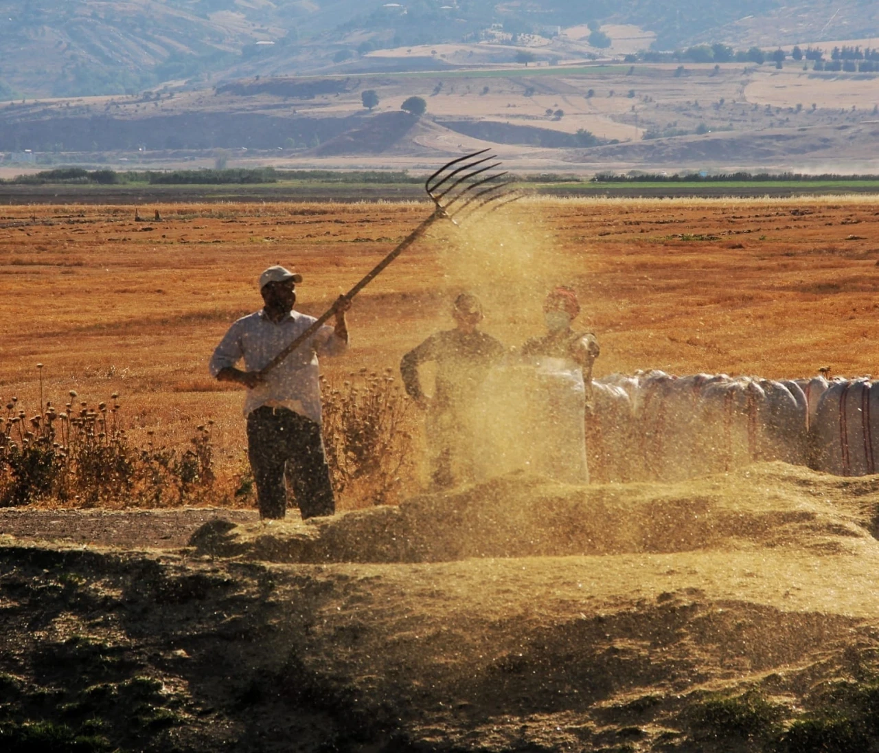 Tarımsal girdi fiyat endeksi yıllık yüzde 32,59 arttı
