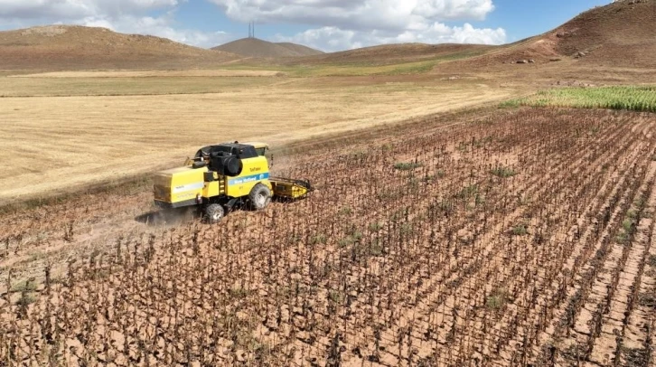 Tarımsal girdi fiyat endeksi yıllık yüzde 40,97 arttı
