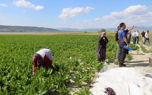 Tarlada çalışırken omzuna yorgun mermi isabet etti