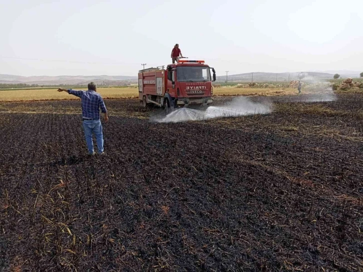 Tarlada çıkan yangında 5 dönüm buğday küle döndü
