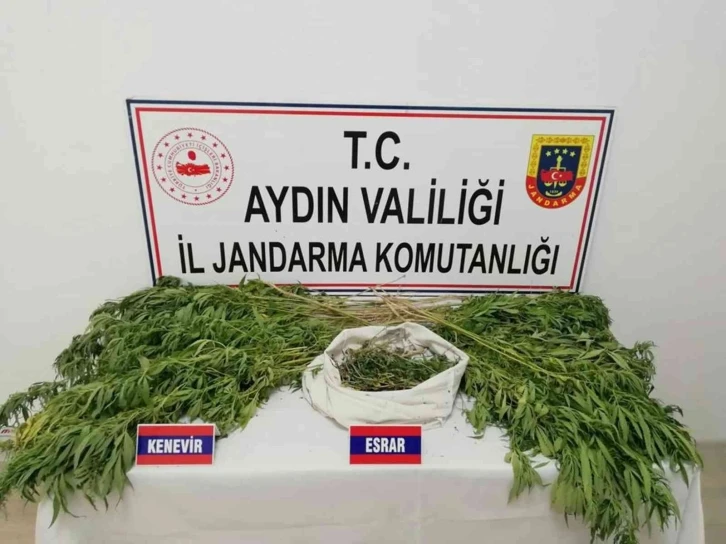 Tarlada uyuşturucu yetiştiren şahıs gözaltına alındı
