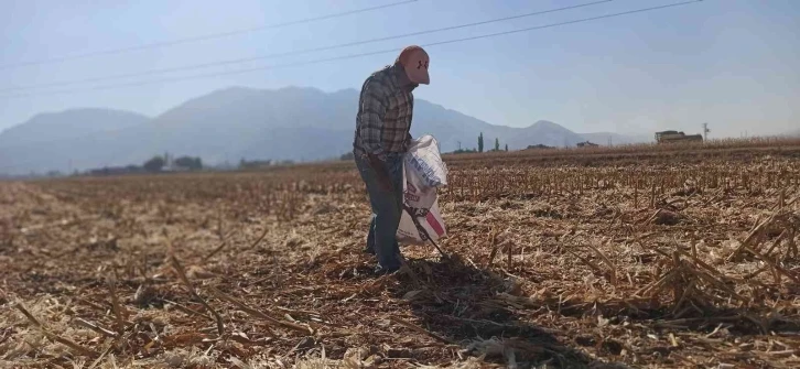 Tarlaları karış karış dolaşıp kısmetlerini arıyorlar
