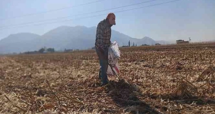 Tarlaları karış karış dolaşıp kısmetlerini arıyorlar