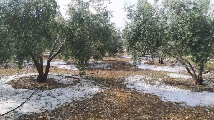 Tarsus’ta dolu ve fırtına etkili oldu
