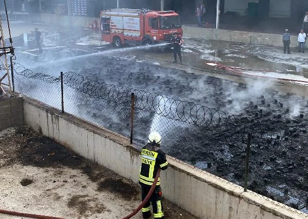 Tarsus'ta narenciye paketleme tesisinde yangın