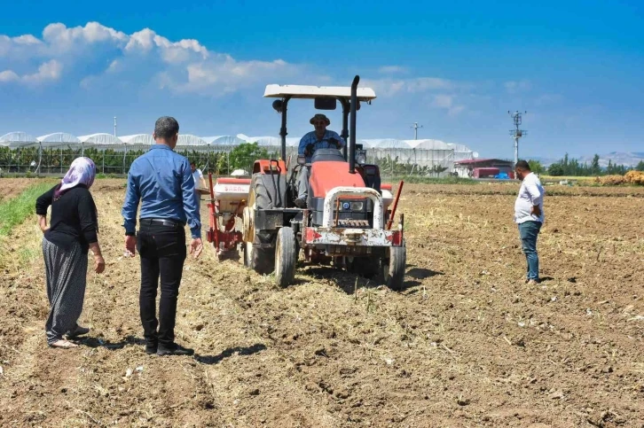 Tarsus’ta soya fasulyesi ekimi yapıldı
