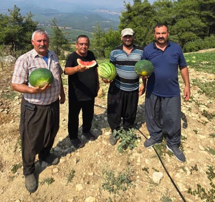 Tarsus’ta yerli tohuma ve üretime dönüş için çağrı
