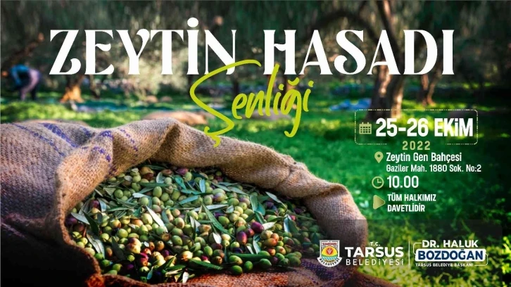 Tarsus Zeytin Hasat Şenliği yarın başlıyor
