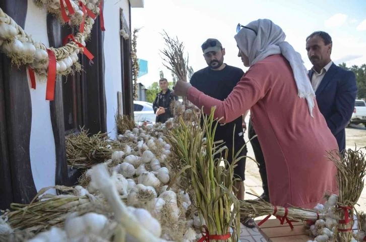 Taşköprü sarımsağına kooperatif desteği
