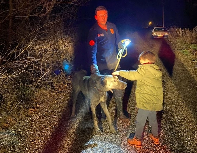 Tasmasını ağaca kaptıran köpek dere kenarında mahsur kaldı
