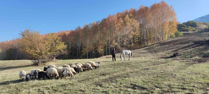 Tatvan’dan kartpostallık kareler
