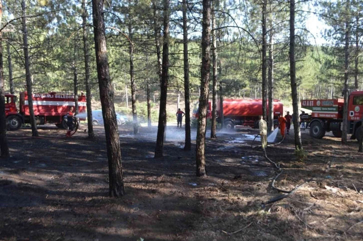 Tavşanlı’da orman yangını söndürüldü
