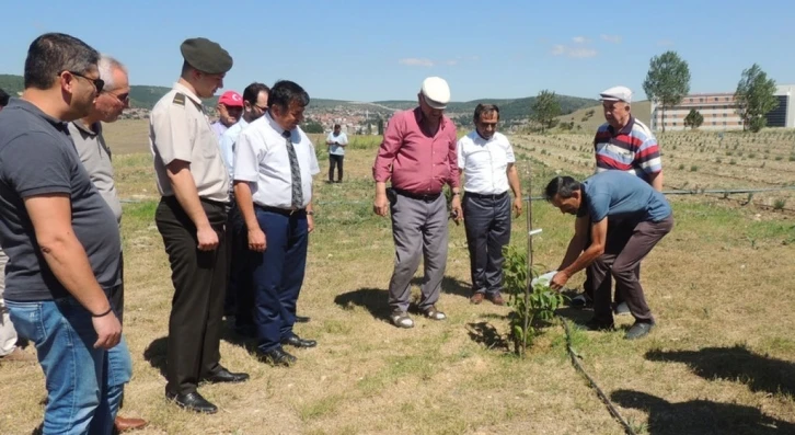 Tavşanlı’da şehitleri anma töreni
