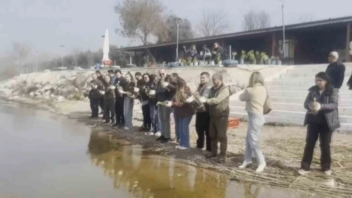 Tedavisi tamamlanan ördekler doğaya salındı
