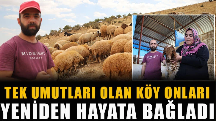 Tek umutları olan köy onları yeniden hayata bağladı